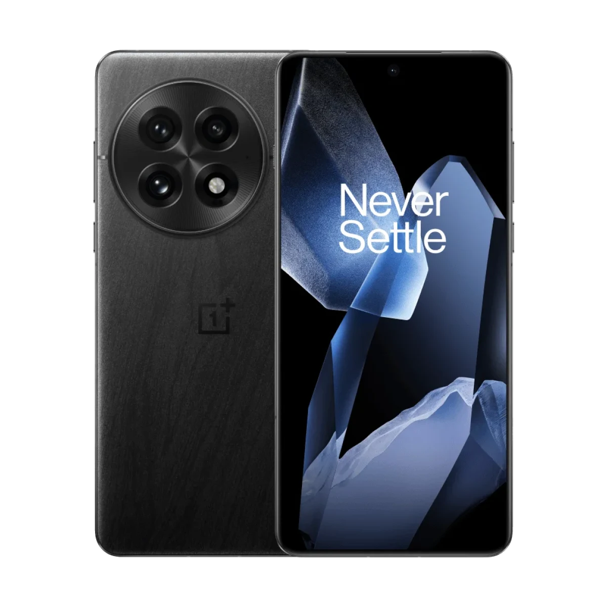 OnePlus 13